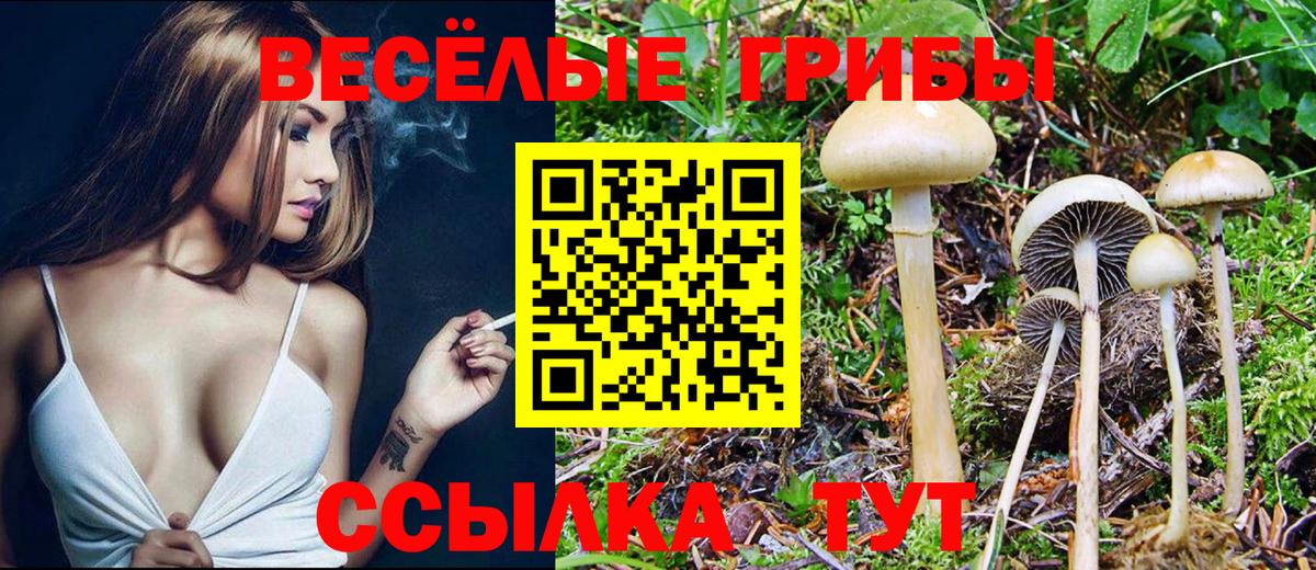 Псилоцибиновые грибы мицелий  Галлюциногенные грибы Psilocybine cubensis  Вход с VPN  Азнакаево 