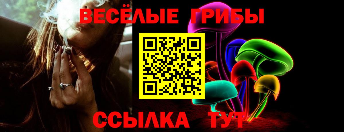 Галлюциногенные грибы Psilocybine cubensis Азнакаево